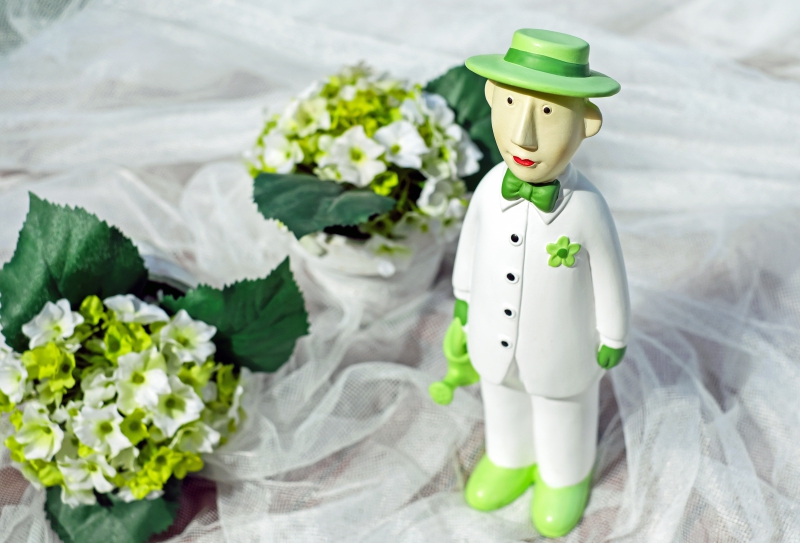 ecommerce-CONTES-min_man-person-flower-green-toy-fig-546529-pxhere.com